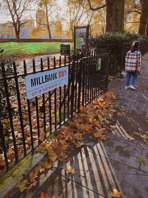 The image shows a section of a public park enclosed by a black cast iron fence with pointed finials, adjacent to a paved walkway covered with fallen autumn leaves in shades of brown, yellow, and orange. A sign attached to the fence reads 'MILLBANK SW1 CITY OF WESTMINSTER,' indicating the park's location. Beyond the fence, there is a grassy area with some green netting around a section of soil, suggesting ongoing maintenance or landscaping. In the background, tall trees with yellowing leaves are visible, and a park information board or display case is situated near the fence. On the right side of the image, a person wearing a blue and white checked shirt and blue jeans is walking away from the camera, with their head turned slightly to the right. The scene is captured in natural daylight, with shadows cast by the fence onto the wet pavement, emphasizing the autumnal setting. The overall environment suggests a peaceful urban park where waste collection or maintenance activities might occur, reflecting the importance of rubbish removal and environmental upkeep in public spaces managed by local authorities or private contractors like Waste Collection Paddington.